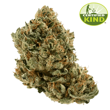 Motorbreath Motorbreath Product Image