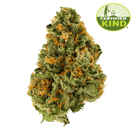 Pink Zugar Pink Zugar Product Image