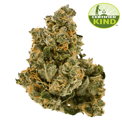 Walkabout Walkabout Product Image