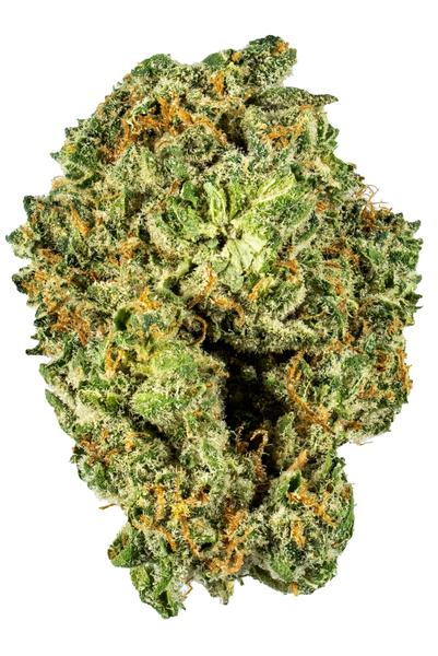 Full Metal Jacket - Híbrido Cannabis Strain