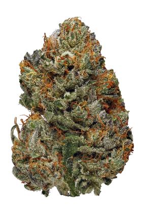 Funfetti - Hybrid Cannabis Strain