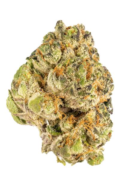 G-Purps - Hybrid Cannabis Strain