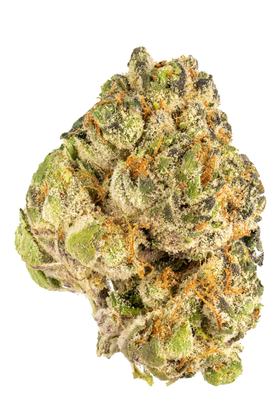 G-Purps - Híbrida Cannabis Strain