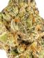 G-Purps Hybrid Cannabis Strain Thumbnail