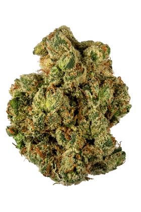 G13 - Indica Cannabis Strain