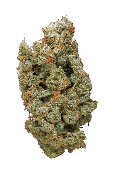 G13 Haze - Hybrid Cannabis Strain
