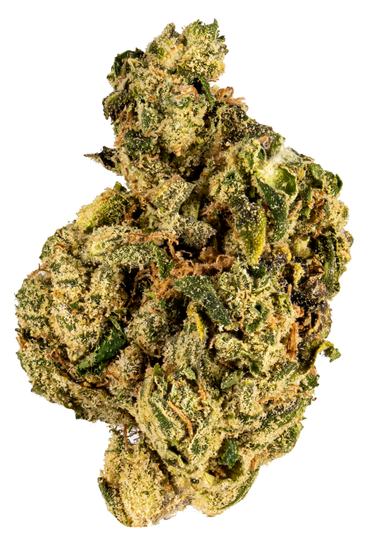 G6 - Hybrid Cannabis Strain