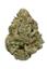 GG #4 Hybrid Cannabis Strain Thumbnail