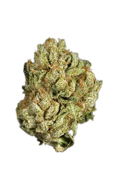 GGR OG - Híbrido Cannabis Strain