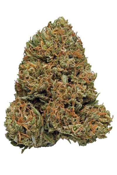 Galactic Jack - Hybride Cannabis Strain