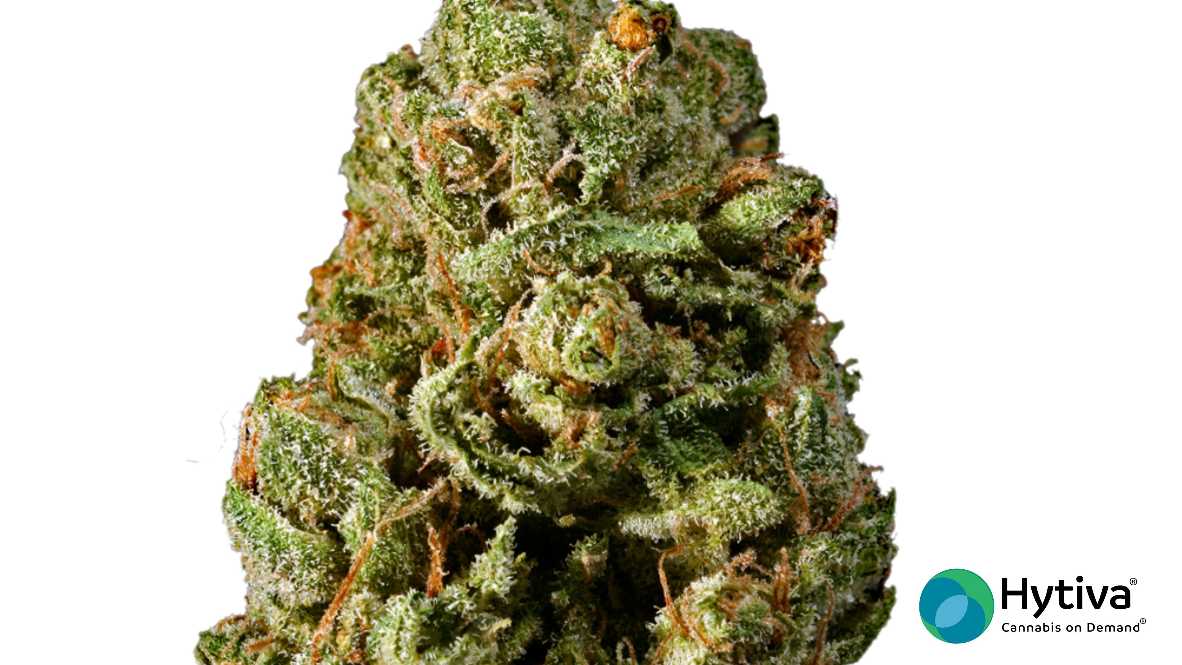 Galaxy - Indica Strain