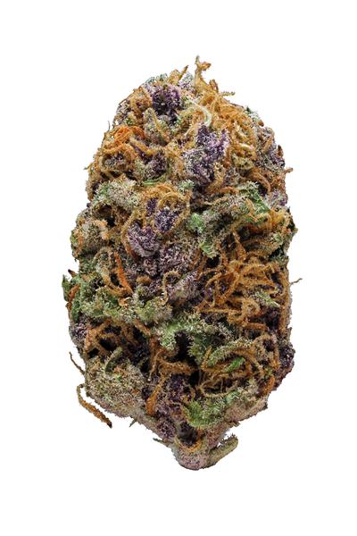 Game Changer - Híbrida Cannabis Strain