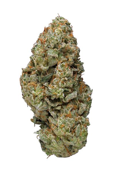 Gangsta Glue - Hybrid Cannabis Strain