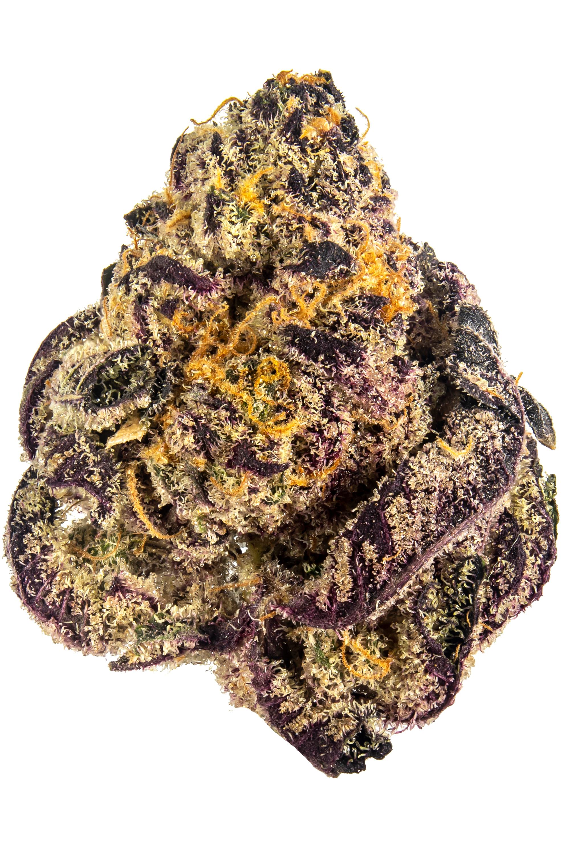 Grape Animals - Hybrid Cannabis Strain