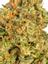 Garlic Mints Hybrid Cannabis Strain Thumbnail