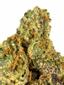 Gary Payton Hybrid Cannabis Strain Thumbnail