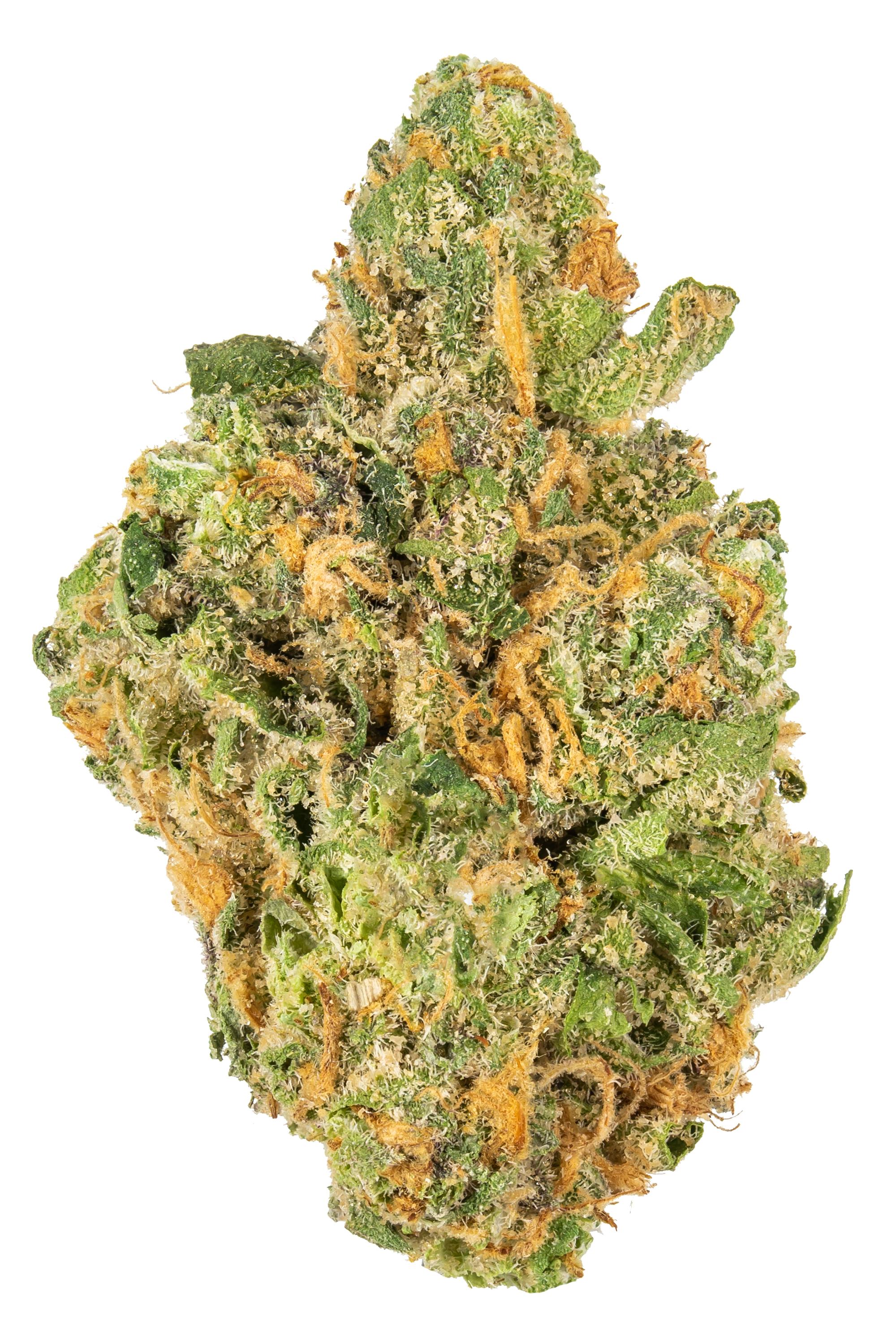 Geladough - Hybrid Cannabis Strain