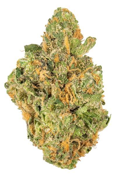 Geladough - Híbrido Cannabis Strain