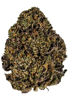 Gelato 33 - Híbrida Cannabis Strain