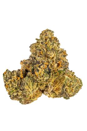 Gelato 41 - Híbrido Cannabis Strain