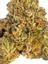 Gelato 41 Hybrid Cannabis Strain Thumbnail