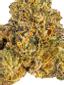 Gelato 41 Hybrid Cannabis Strain Thumbnail