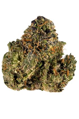 Gelato 45 - Hybride Cannabis Strain