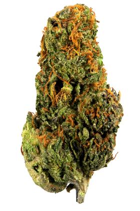 Gelato - Híbrido Cannabis Strain