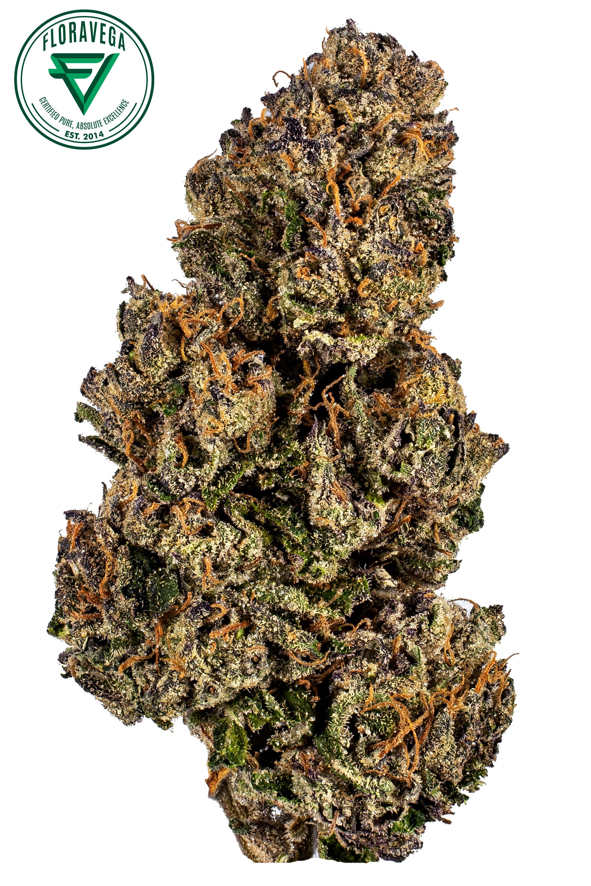 Gelato Product Image