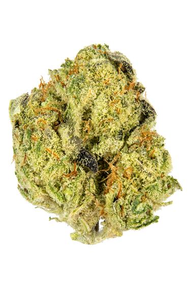 Gelato Fruit Snax - Hybrid Cannabis Strain
