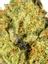 Gelato Fruit Snax Hybrid Cannabis Strain Thumbnail
