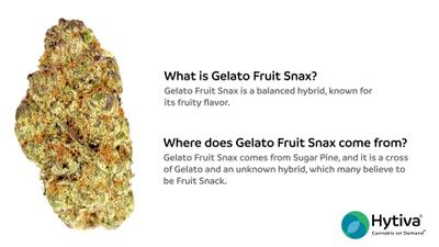 Gelato Fruit Snax - Hybrid Strain
