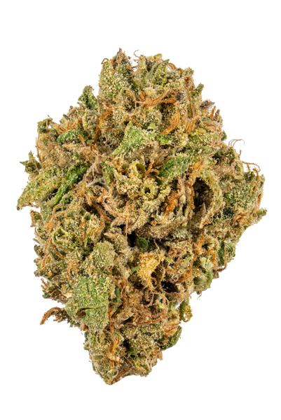 Gelato Sherbet - Hybrid Cannabis Strain
