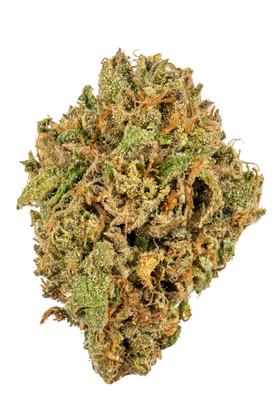 Gelato Sherbet - Híbrida Cannabis Strain