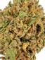 Gelato Sherbet Hybrid Cannabis Strain Thumbnail