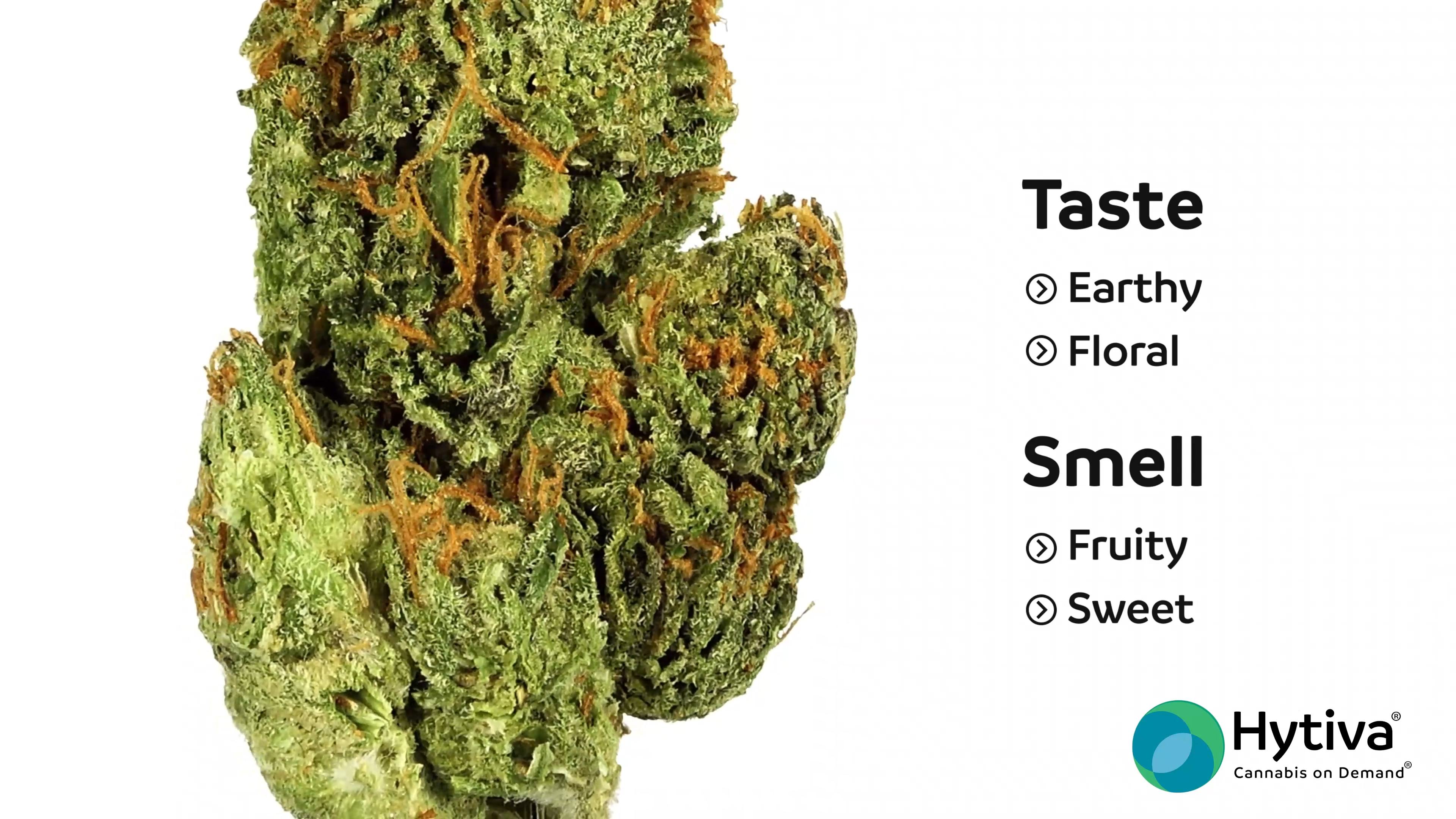 Order Online Raspberry Gelato - Kushfly Marijuana Delivery Los Angeles