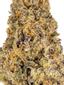 Gelato Sundae Hybrid Cannabis Strain Thumbnail