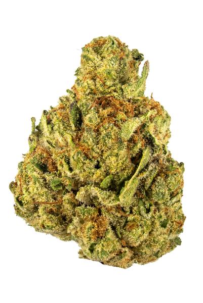 Georgia Pie - Hybrid Cannabis Strain