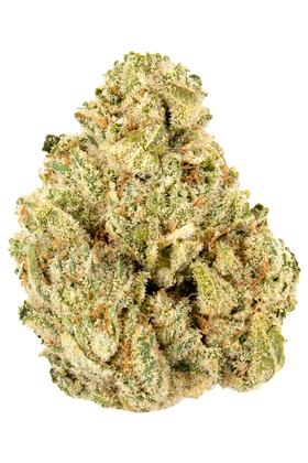 GG #4 - Híbrido Cannabis Strain