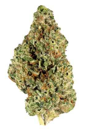 GG #4 - Híbrido Cannabis Strain