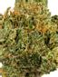 GG #5 Hybrid Cannabis Strain Thumbnail