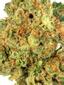 Ghost Berry Hybrid Cannabis Strain Thumbnail