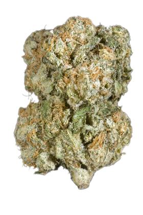 Gigabud - Hybrid Cannabis Strain