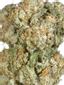 Gigabud Hybrid Cannabis Strain Thumbnail