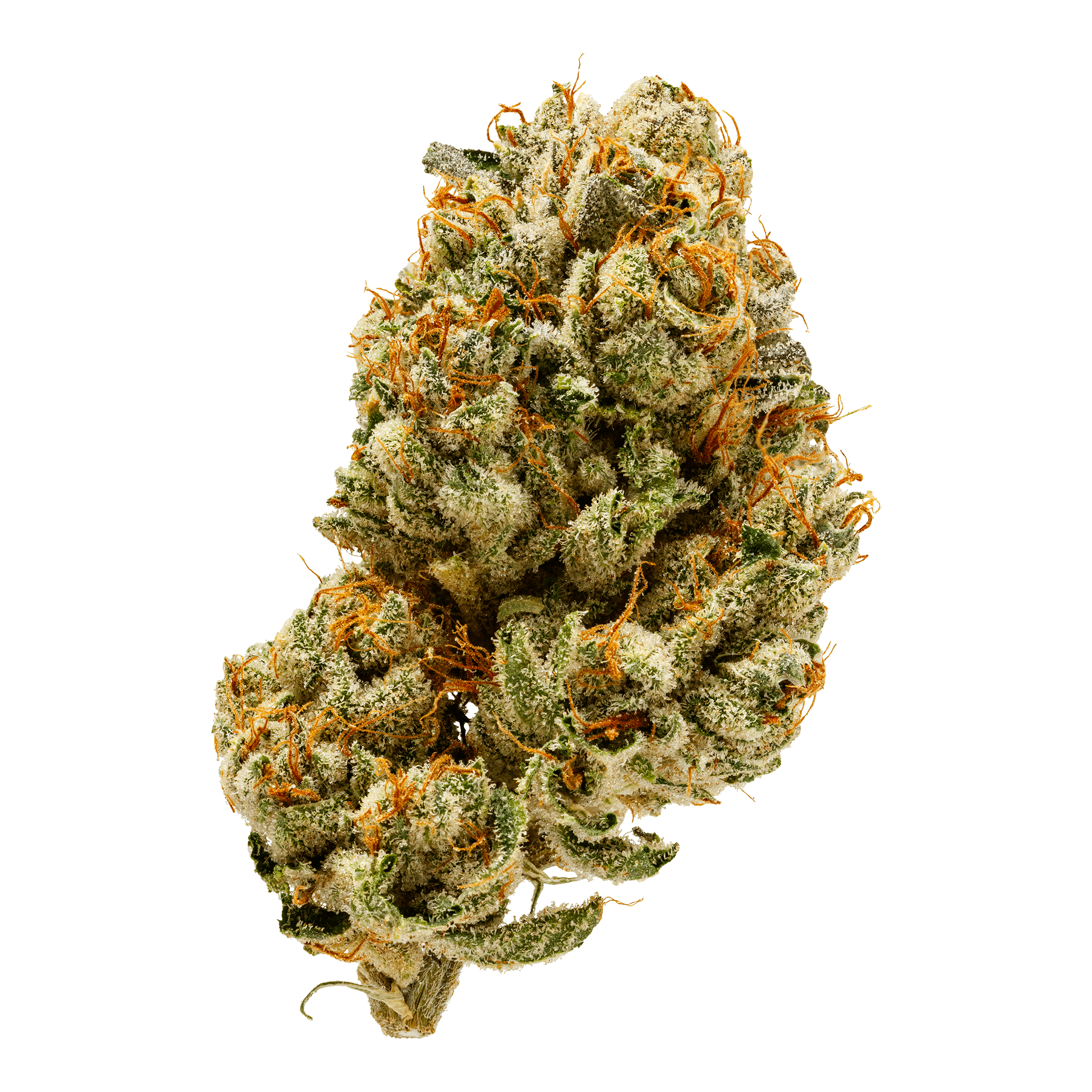 Buddie Ryan Product Image