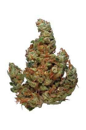 Ginger Kush - Hybrid Cannabis Strain