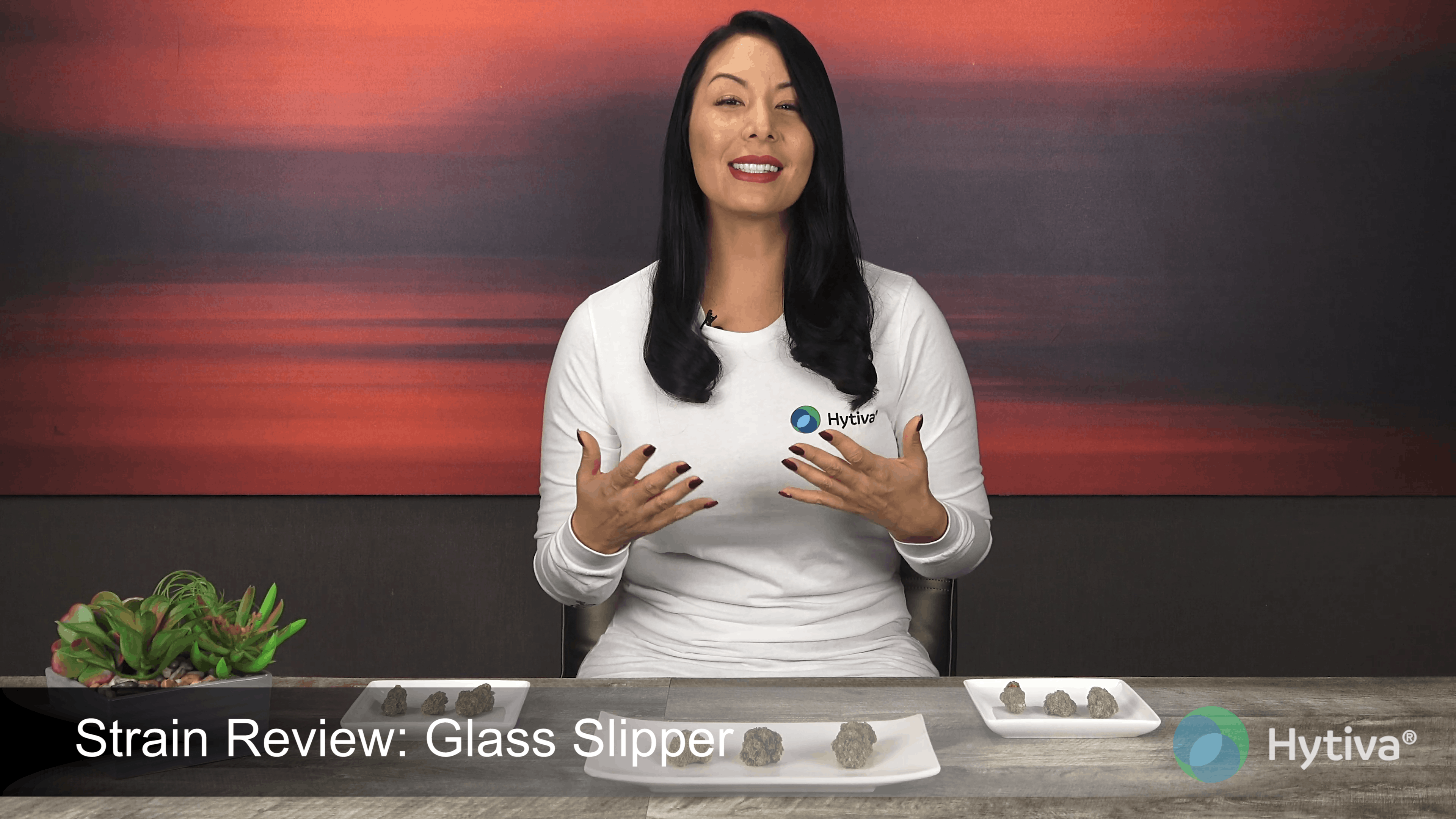 Glass Slipper - Hybrid Strain