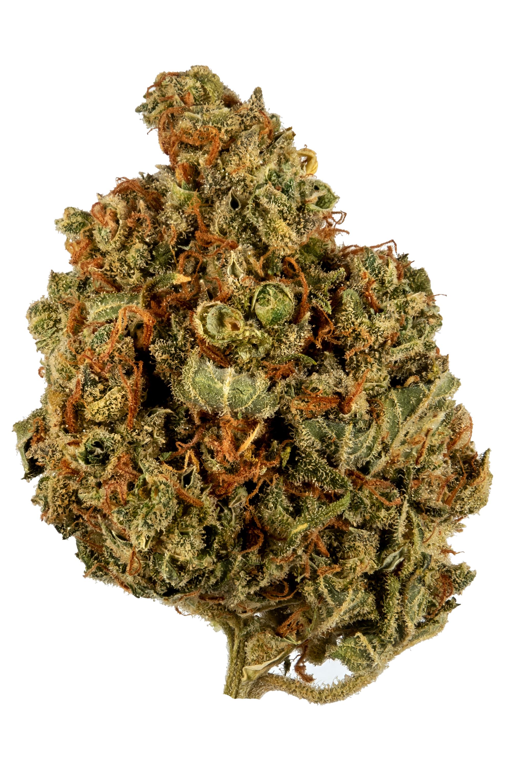 Official* Best Strains to Enjoy this 4th of July - Oasis Superstore
