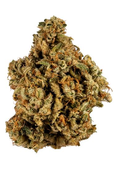 Glue - Hybrid Cannabis Strain