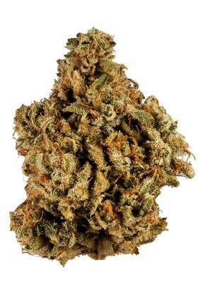 Glue - Hybrid Cannabis Strain